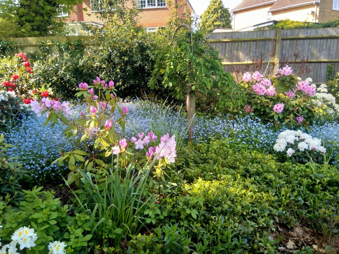 Bright flower beds maintained by volunteers in a park